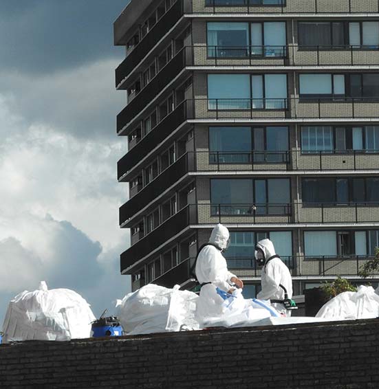 surveyor looking at an asbestos report